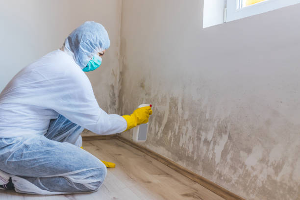 Mold Remediation specialist working in Lawrenceville